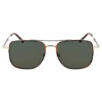 Sunglasses Salvatore Ferragamo SF266S (723)