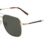 Sunglasses Salvatore Ferragamo SF266S (723)
