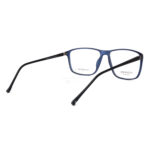 STEPPER Eyewear STS-10086 F550